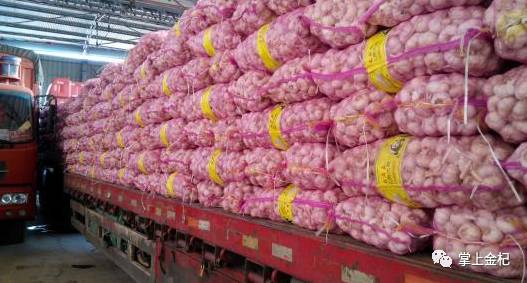 杞縣大蒜價(jià)格走勢(shì)揭秘，秘境小巷的蒜香與市場動(dòng)態(tài)分析