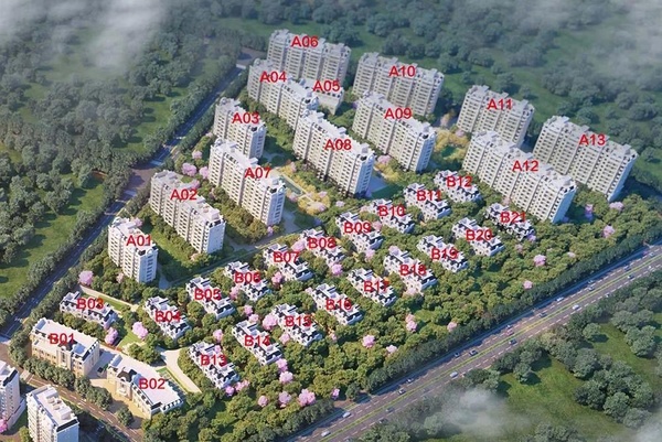 仙林東郡最新資訊，探索自然美景，尋覓內(nèi)心平和之旅