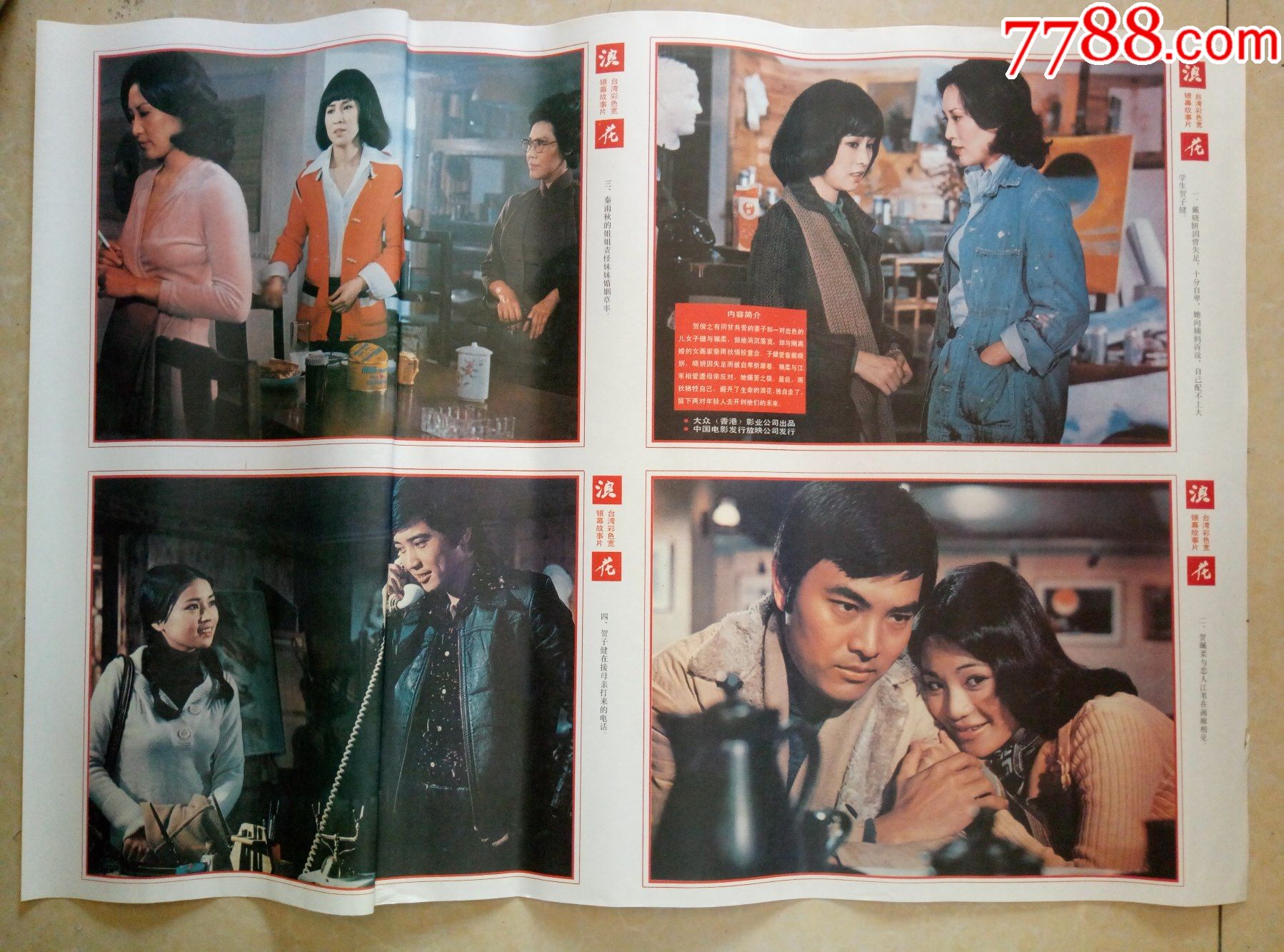 寬銀幕電影,寬銀幕電影，一場自然美景的探索之旅