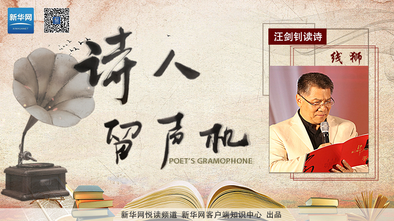 品讀時光新篇章，重大事件背景與深遠影響回顧