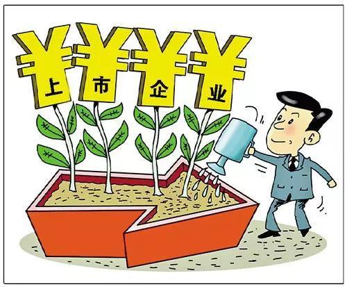 加快企業(yè)上市,加快企業(yè)上市，策略與洞察