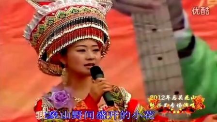 織金苗族歌曲精選，傳承與創(chuàng)新旋律的碰撞與融合