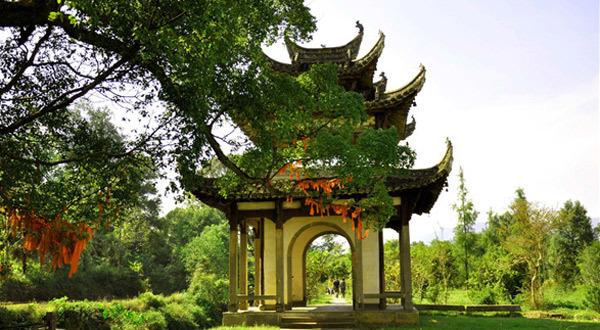 孝子電視劇,孝子電視劇，小巷深處的特色小店探秘