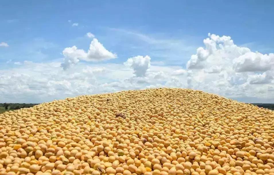 中儲糧上市,中儲糧上市，科技重塑糧食產(chǎn)業(yè)，智能守護美好生活