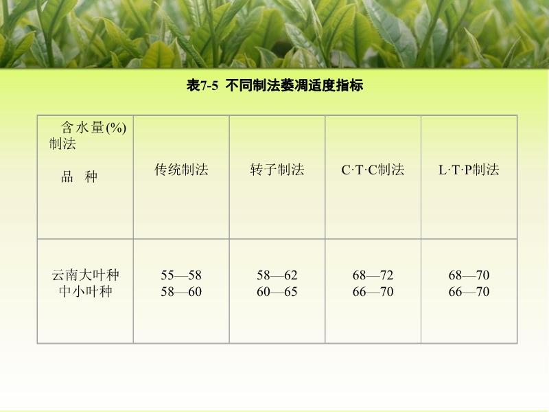 最新茶葉質量標準，科技引領品質革新，提升生活品味