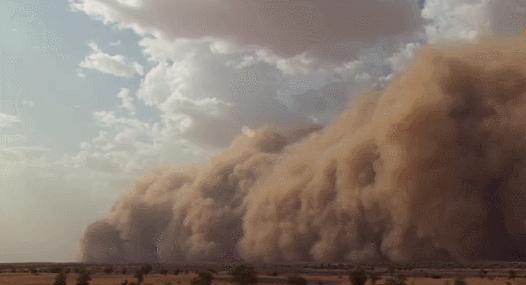 最新沙塵暴動態(tài)，席卷大地的沙塵風暴及其影響分析