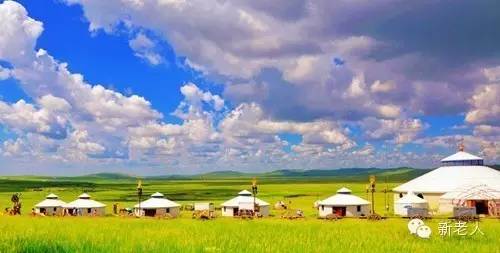 最新草原歌曲推薦，草原旋律與家的溫馨故事回顧