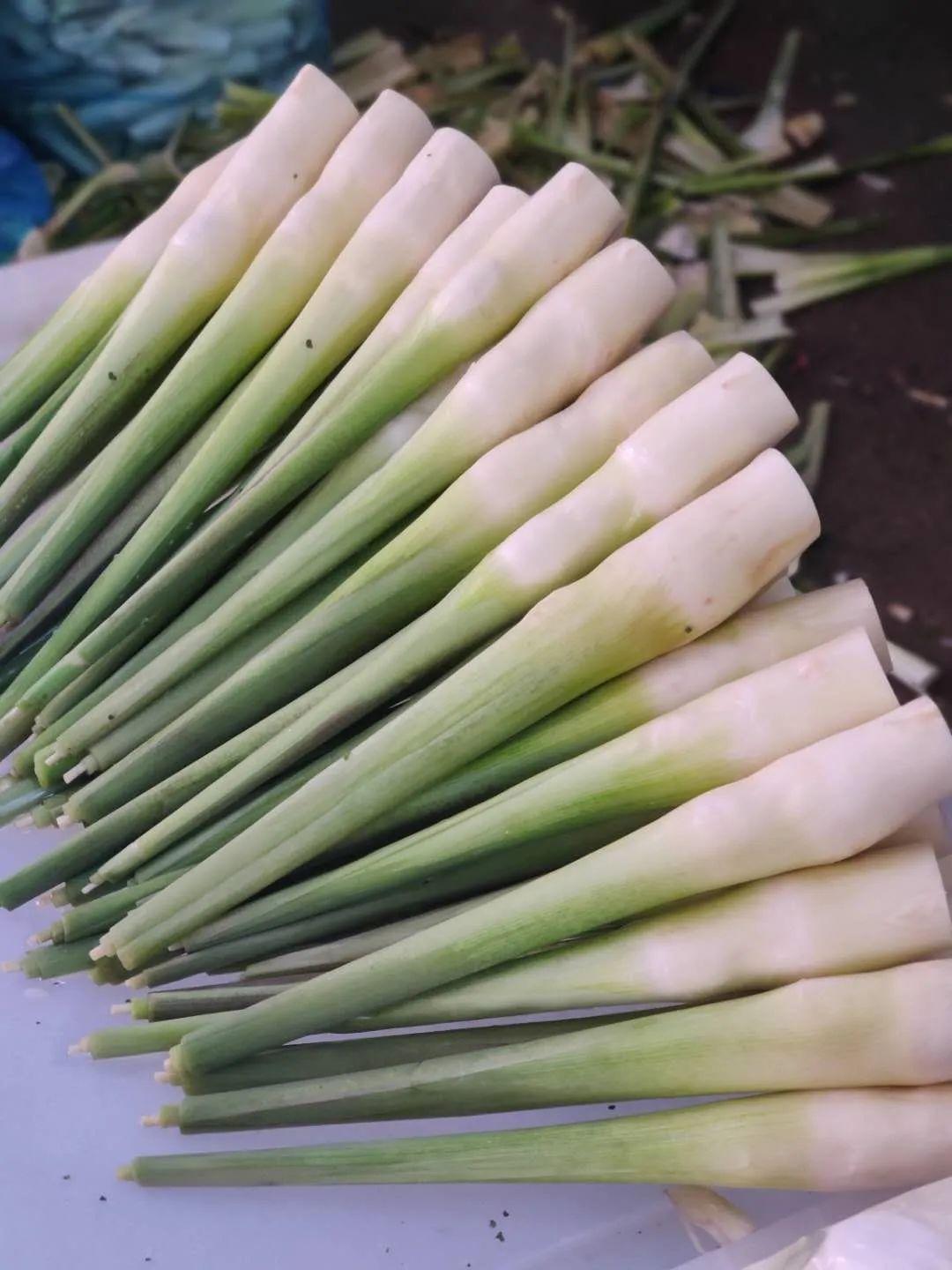 豆角最新價格行情，小巷中的綠色寶藏揭秘