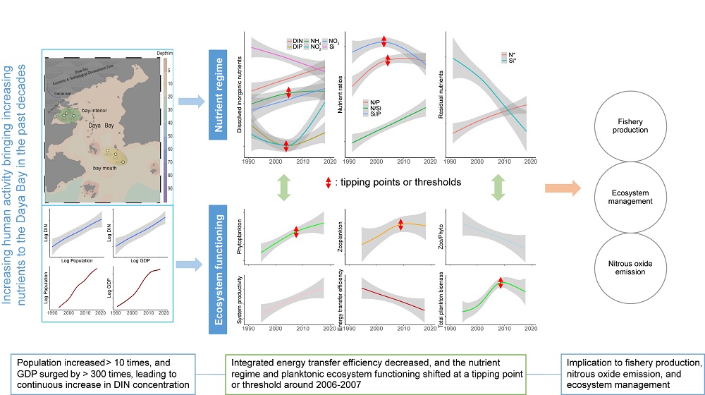 最新研究進(jìn)展引領(lǐng)自然美景之旅，探尋內(nèi)心寧靜與微笑的秘密之旅