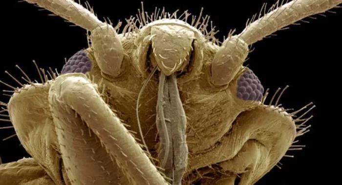 電影里的巨型怪獸與神秘小巷中的奇異小店探索