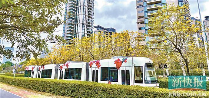 陽江有軌電車最新進(jìn)展更新