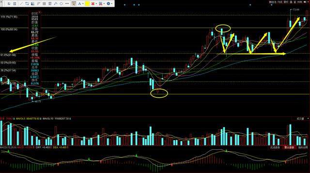 股票黃金分割線運(yùn)用技巧，心靈與自然投資之旅的啟示