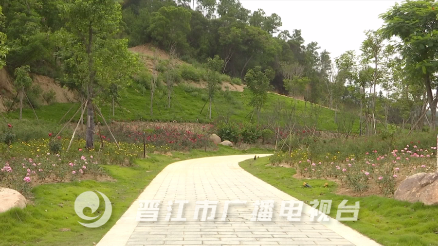 晉江崎山公園最新動態(tài)，一種觀點的深度分析與闡述