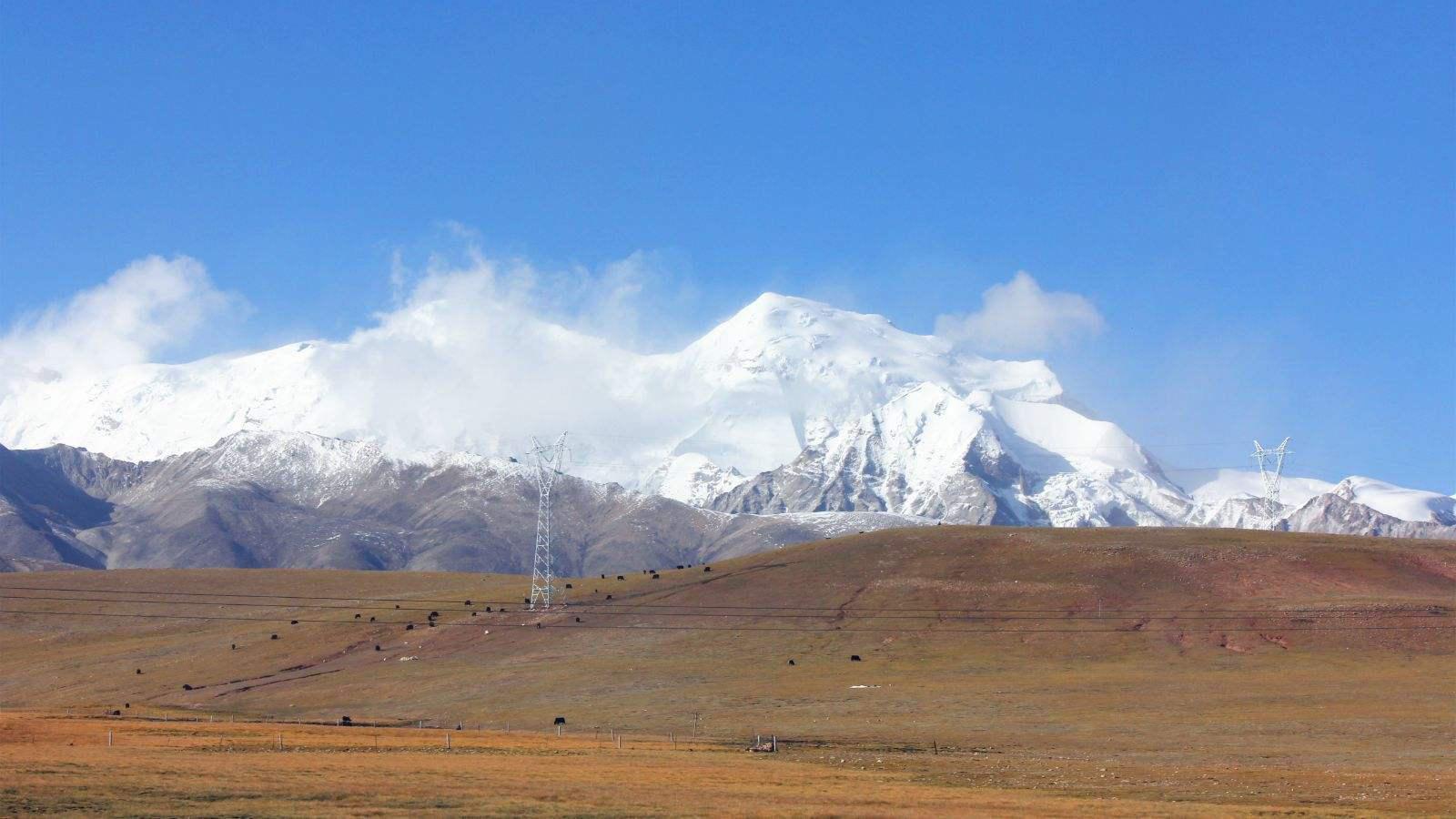 必需消費品上市公司的背景、事件與地位全面解析