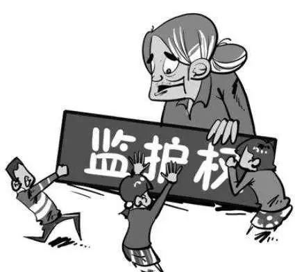 杭州案件最新進(jìn)展，探索自然美景的輕松之旅持續(xù)更新