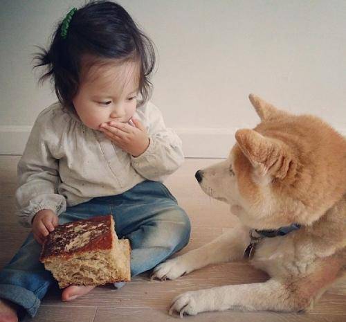 科技寵兒的新篇章，丫頭乖巧寵溺記的溫馨生活體驗(yàn)