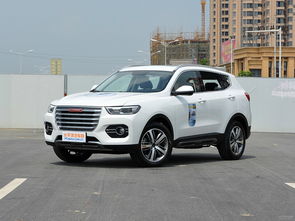 哈佛H6價(jià)格探秘，小巷中的隱藏價(jià)值