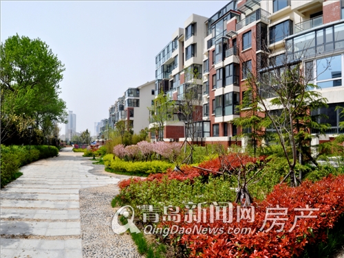 青島最新住宅房源，夢想之島的新家選擇，準(zhǔn)備開啟新生活！