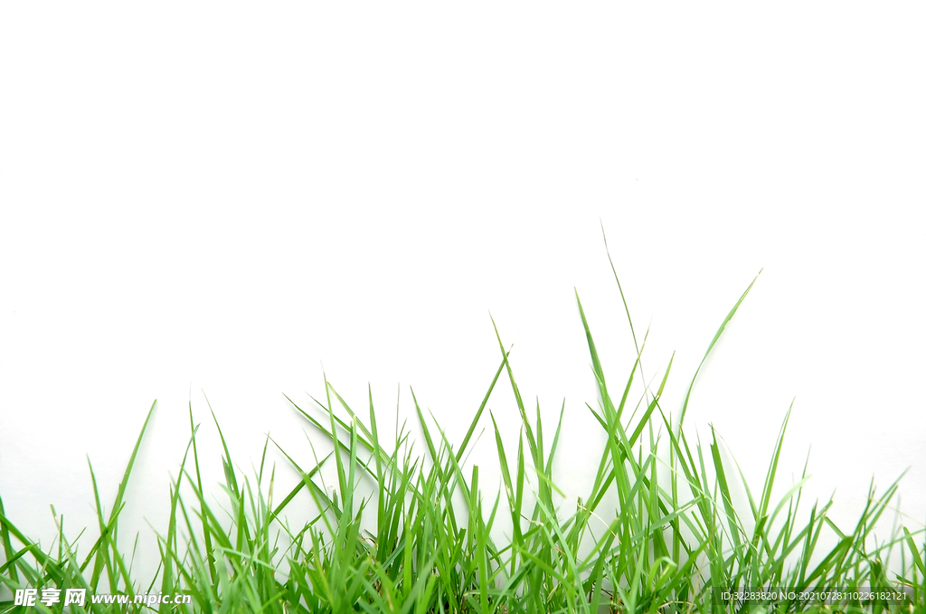 小草最新網(wǎng)址公布，開啟學習之旅，擁抱自信與成就感的啟程之路