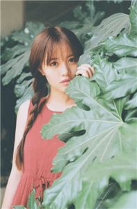 七草千歲最新作品封面，獨特魅力的藝術(shù)展現(xiàn)