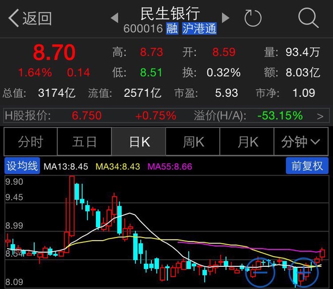 民生銀股票,民生銀股票，股市中的溫情紐帶