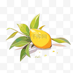 芒果動(dòng)漫圖片制作指南，從初學(xué)者到進(jìn)階用戶的必備手冊