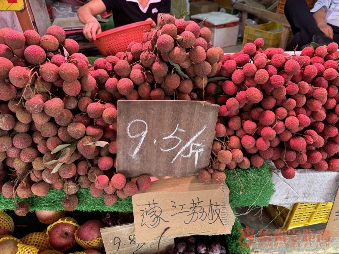 科技引領(lǐng)下的桂味荔枝新風(fēng)尚與價(jià)格行情解析