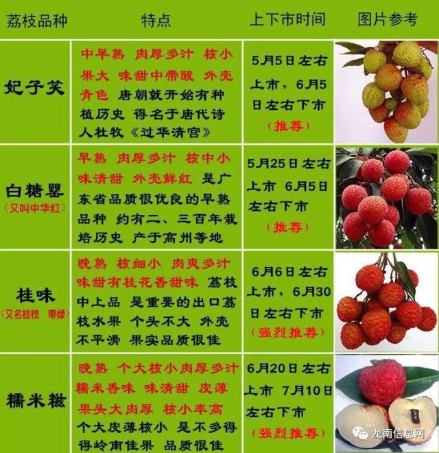 科技引領(lǐng)下的桂味荔枝新風(fēng)尚與價(jià)格行情解析