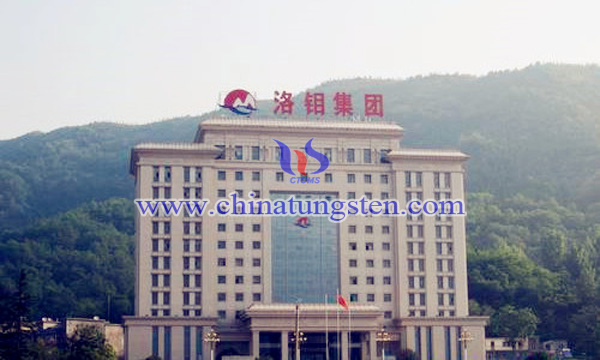 洛陽(yáng)淚業(yè)行情深度解析與觀點(diǎn)闡述