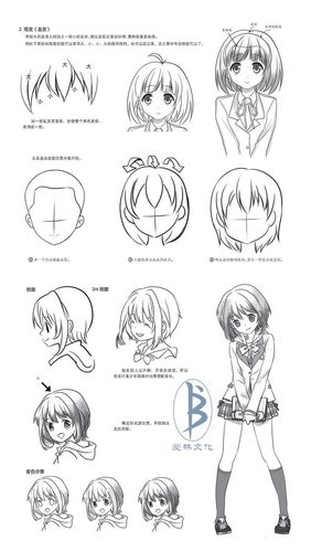 動漫教程視頻,動漫教程視頻，一場心靈與自然的動漫之旅