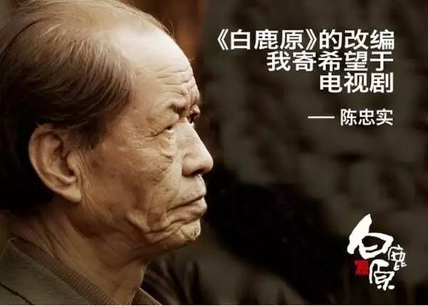 白鹿原收視率持續(xù)攀升，激勵(lì)擁抱學(xué)習(xí)與變化的力量新篇章揭秘