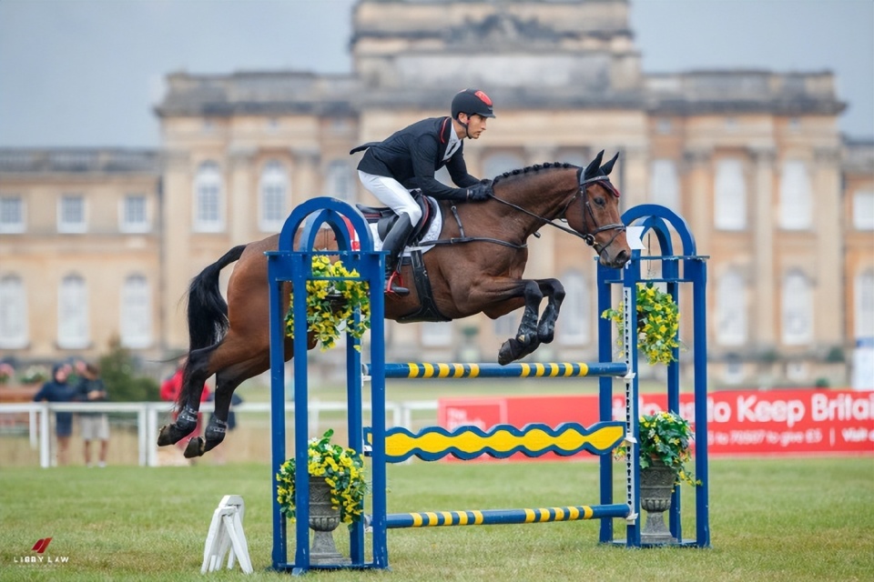馬術(shù)比賽項(xiàng)目探秘，歷史背景、重要事件與時(shí)代地位