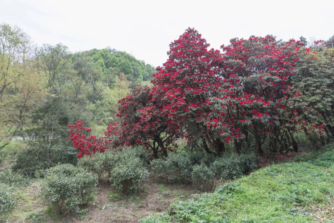 海得控制股票，解析要點(diǎn)及未來(lái)前景展望