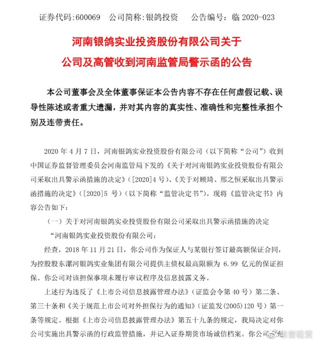 銀鴿最新公告，溫馨日常故事開啟新篇章