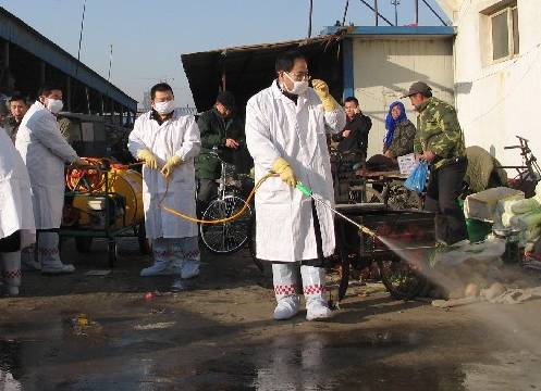 威遠(yuǎn)禽流感最新動態(tài)及禽鳥狀況更新