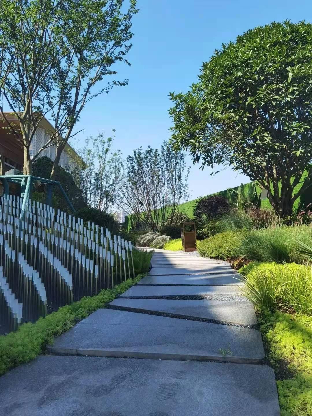 成都雙流新房開(kāi)盤價(jià)格變動(dòng)，揭示變化背后的學(xué)習(xí)與自信力量