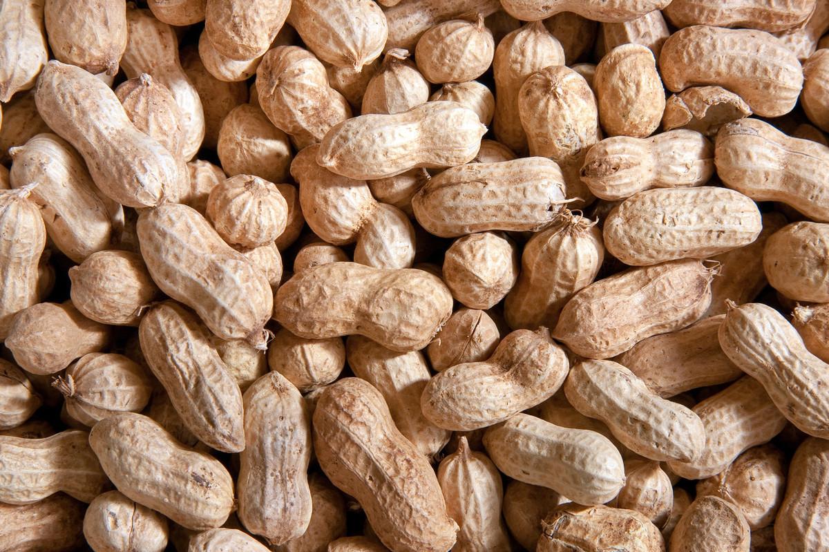 今日花生米價(jià)格揭秘，小巷中的美食探秘之旅