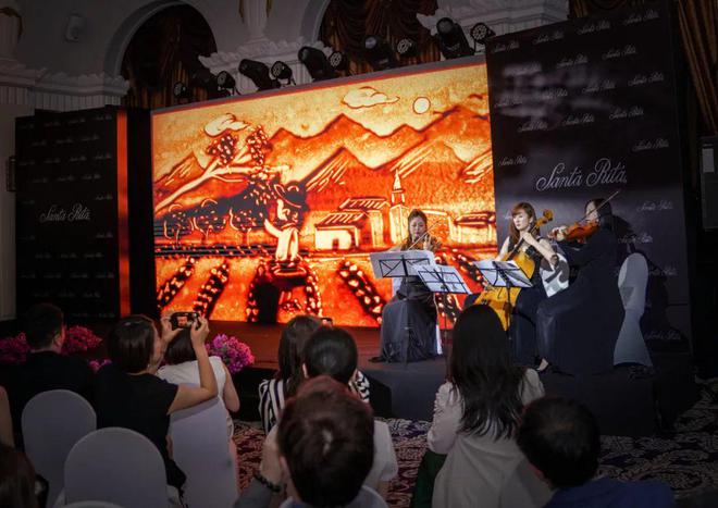 智利最新動態(tài)觀點闡述與分析概覽