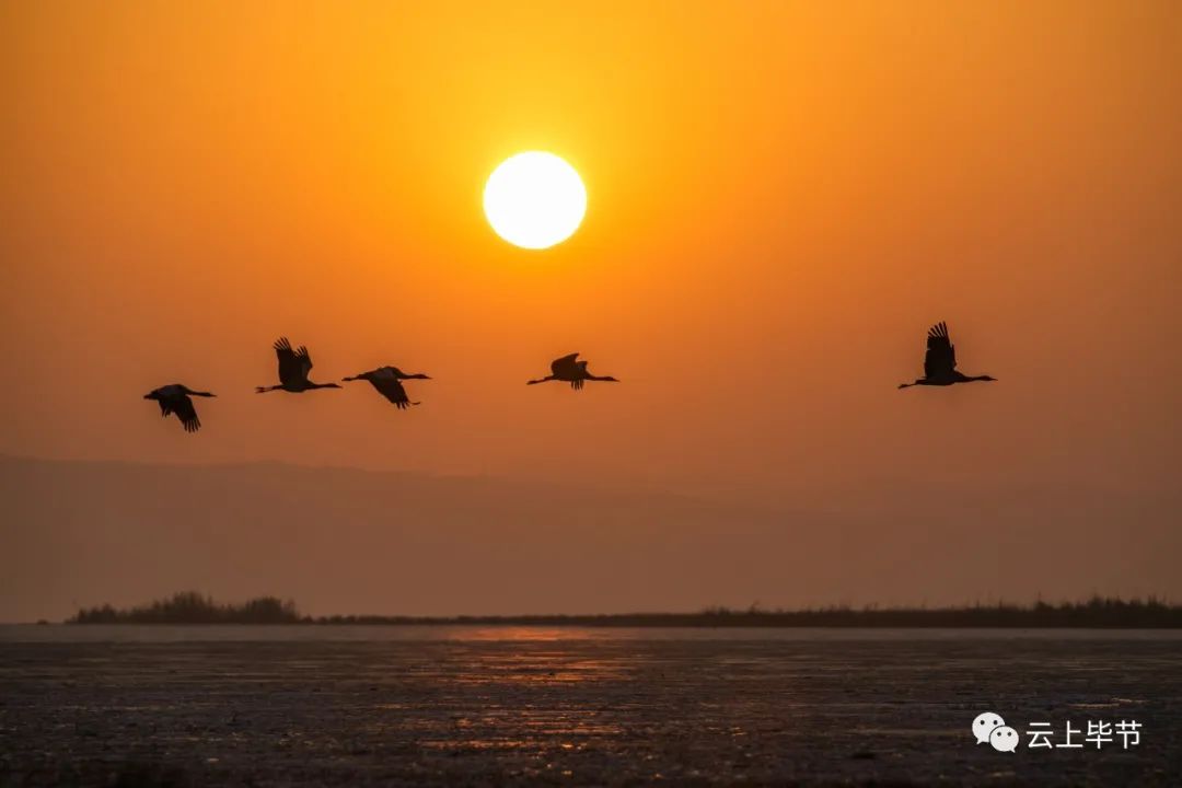 威寧草海機場最新動態(tài)揭秘，最新進展與發(fā)展概況