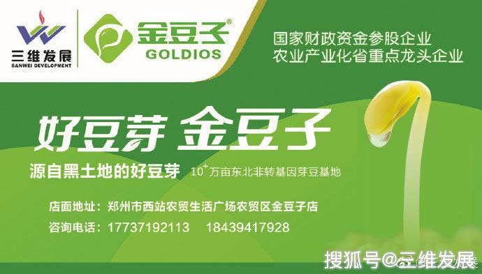 金豆豆最新資訊，探訪隱藏版特色小巷深處的獨(dú)特風(fēng)味小店