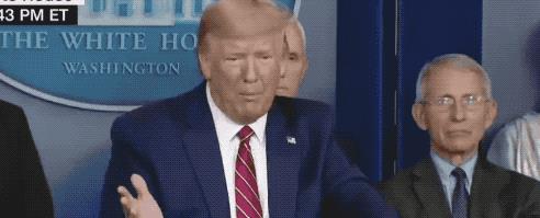 “美國大選實時動態(tài)”,美國大選實時動態(tài)，一場自然美景的鼓舞之旅