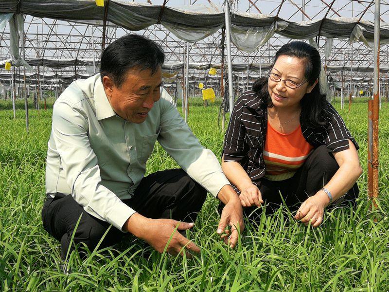 汶上會(huì)計(jì)最新招聘啟事，科技引領(lǐng)未來，會(huì)計(jì)人才新紀(jì)元招募開啟