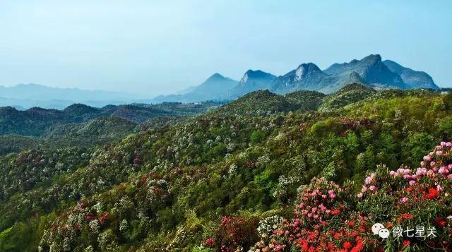 畢節(jié)森林公園最新資訊,畢節(jié)森林公園最新資訊——森林里的歡樂(lè)時(shí)光