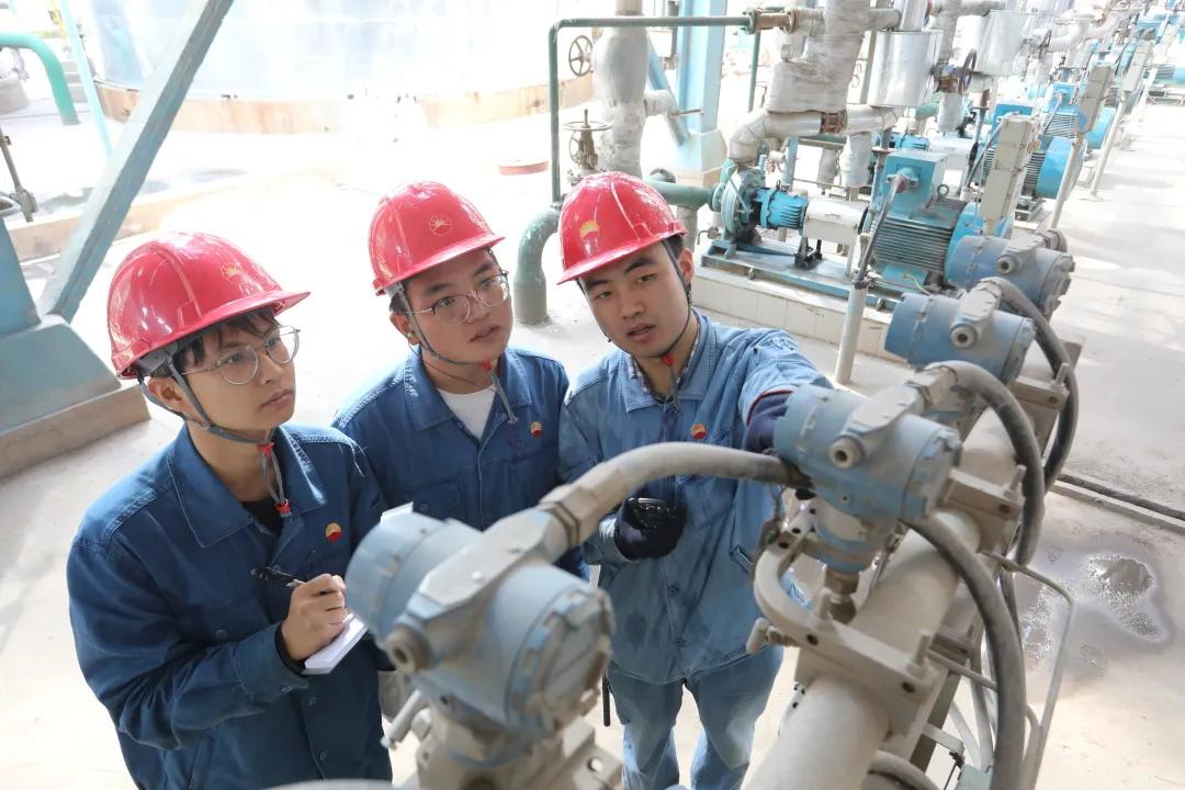 蘭州手機市場行情解析，市場走勢與觀點分析