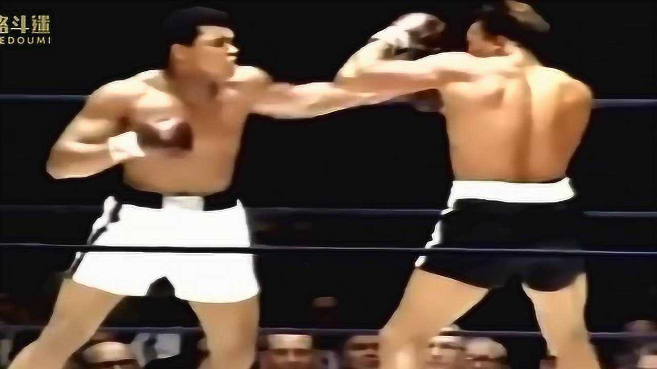 阿里拳擊比賽視頻，友情與陪伴的溫馨篇章