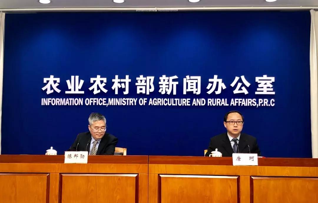 黃豆價格最新行情,黃豆價格最新行情分析