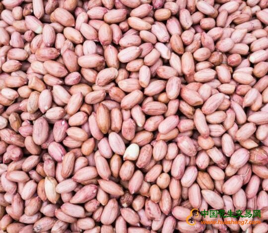 花生米固鎮(zhèn)最新價(jià)格，科技與生活融合的高科技產(chǎn)品詳解