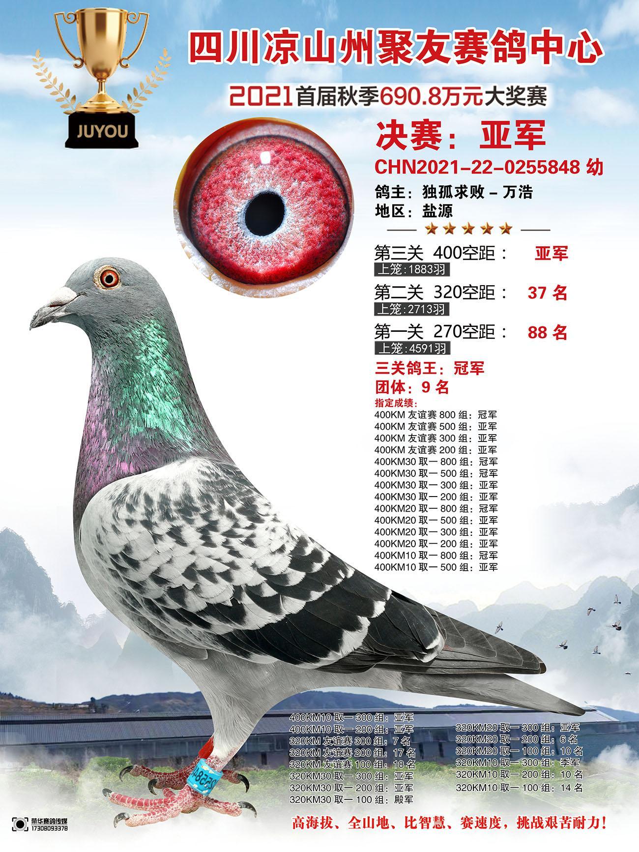 四川紅軍公棚科技新品亮相，開啟未來生活新篇章