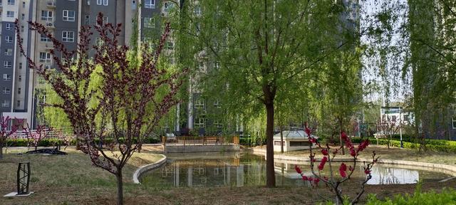 保定滿城區(qū)最新住宅項(xiàng)目，未來(lái)生活新標(biāo)桿，引領(lǐng)居住新風(fēng)尚