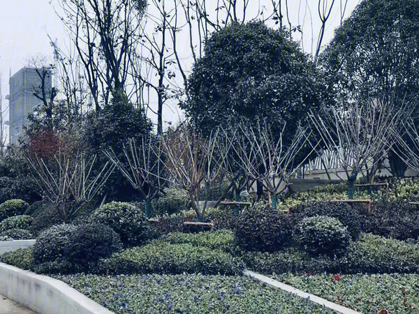 阜寧帝逸國際最新進(jìn)展動(dòng)態(tài)揭秘